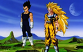 Vegeta and Super Saiyan 3 Goku