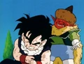 Salt after he beats on Gohan