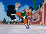 Episodio 22 (Dragon Ball)