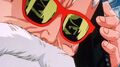 Future Roshi's sunglasses