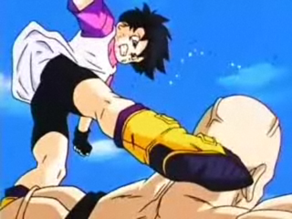 Videl/Gallery, Dragon Ball Wiki, Fandom