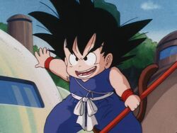 Son Goku Turtle Gi (+)