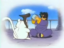 Karin | Dragon Ball Wiki Hispano | Fandom Karin | Dragon Ball Wiki Hispano | Fandom