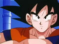 Dbz233 - (by dbzf.ten.lt) 20120314-16195496.jpg (16 KB)