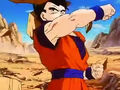 Dbz249(for dbzf.ten.lt) 20120505-11564036