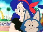 Puar y Launch