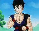 Gohan training Videl and Goten