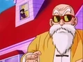 Roshi and Chi-Chi