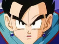 Dbz241(for dbzf.ten.lt) 20120403-17140576