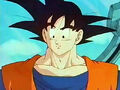 DragonBallZGokuWorld2