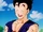 Userbox/Gohan Adulto