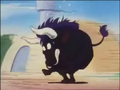 Bull Oolong running