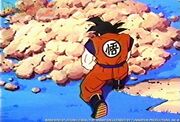 Son Goku30