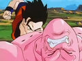 Dbz248(for dbzf.ten.lt) 20120503-18282759