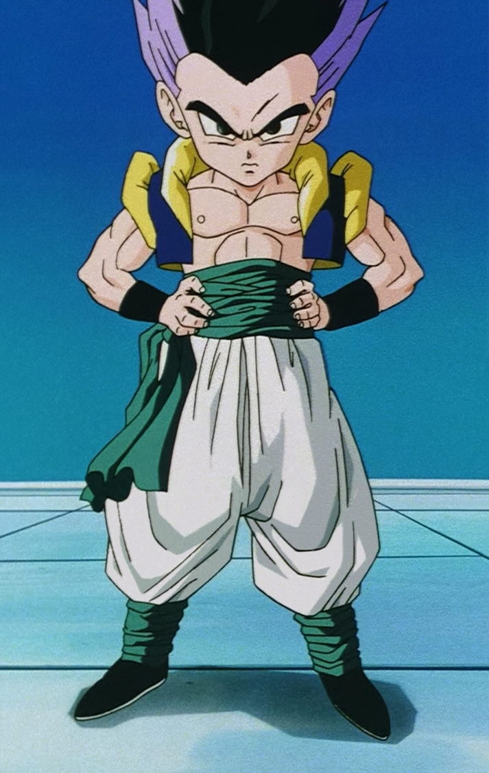 Can somebody explain to me what this upper clothing is and why both Gotenks  and Gogeta have it on after they fuse? : r/dbz