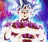 Goku en Ultra instinct maitrisé lors du Chikara no taikai