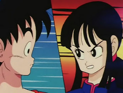 World Martial Arts Tournament Dragon Ball Wiki Fandom World Martial Arts Tournament Dragon Ball Wiki Fandom