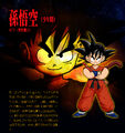 Kid Goku BT3