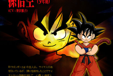 Dragon Ball Z Big Budokai Goku SS3 V6 Statue 