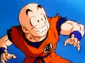 Krillin