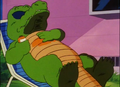 The alligator sunbathing at Kame House