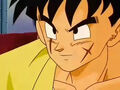 DBZ - 223 - (by dbzf.ten.lt) 20120302-14481597