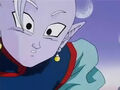 Dbz245(for dbzf.ten.lt) 20120418-17244332