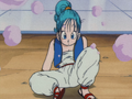 Bulma is turned back