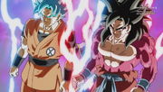 Goku Duo (SDBH 18) 0