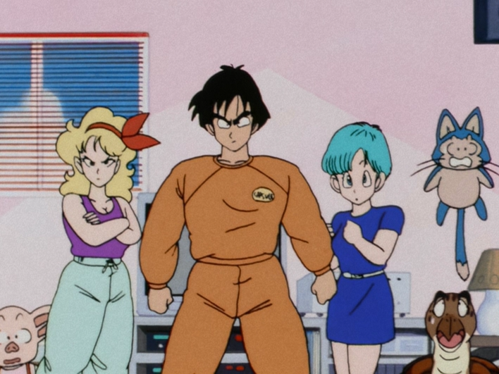 Dragon Ball: Saga do Piccolo Daimaoh - 24 de Fevereiro de 1988