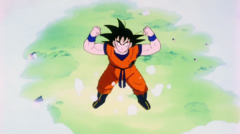 Spirit Shot, Dragon Ball Wiki