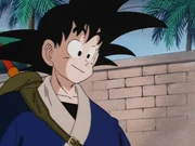 Goku as an adult