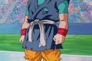 Saga Bardock, Wiki DBNation