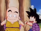 Krillin and Goku training under Roshi