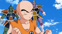 DBZ-48878451