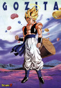 Gogeta completo libro