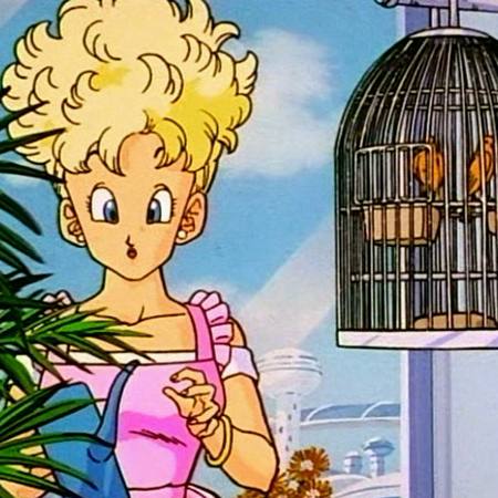 ブルマの母 Dragon Ball Wiki Fandom