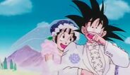 Goku wedding