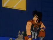 Stalkeryamcha