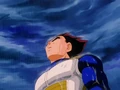 Vegeta under the rain