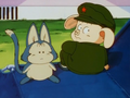 Puar and Oolong