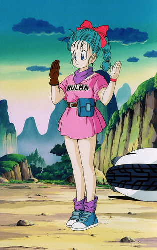 Vegeta E Bulma Brief ∞ Trunks & Bra - Dragon Ball, Z, GT