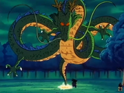 Shenron risuscita Bora