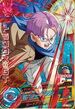 GT Trunks card