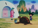 Goku and Bulma meet Turtle