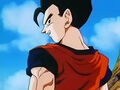 Dbz248(for dbzf.ten.lt) 20120503-18213319