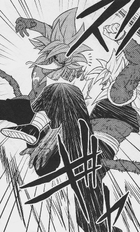 Xeno Gogeta vs Fin