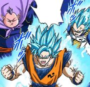 Goku,Vegeta,GSKai