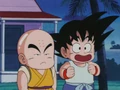 Krillin and Goku