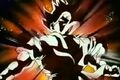 Goku uses an Explosive Wave on the Medas